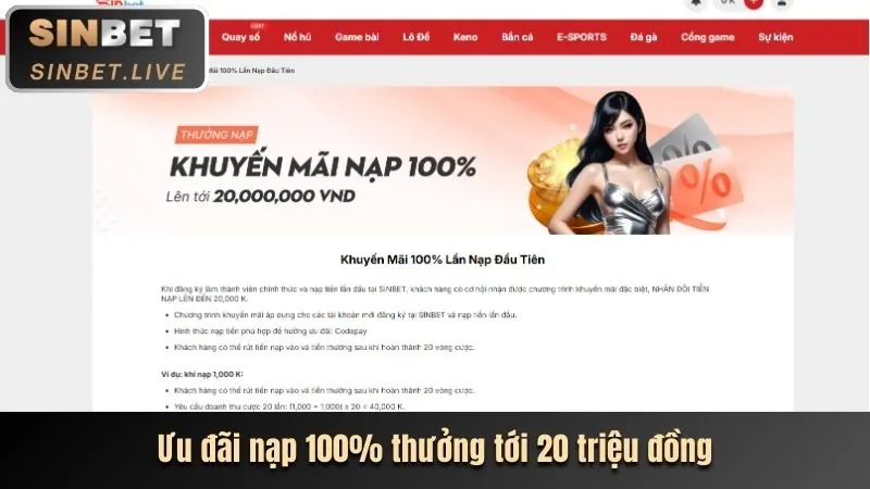 Hoàn trả hàng ngày MB6 Washer